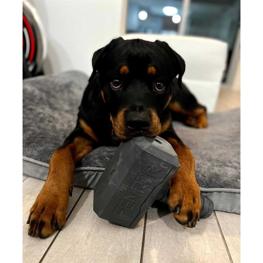 Hammer Chew Toy K1184