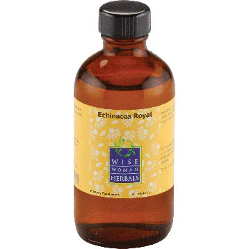Echinacea P2796