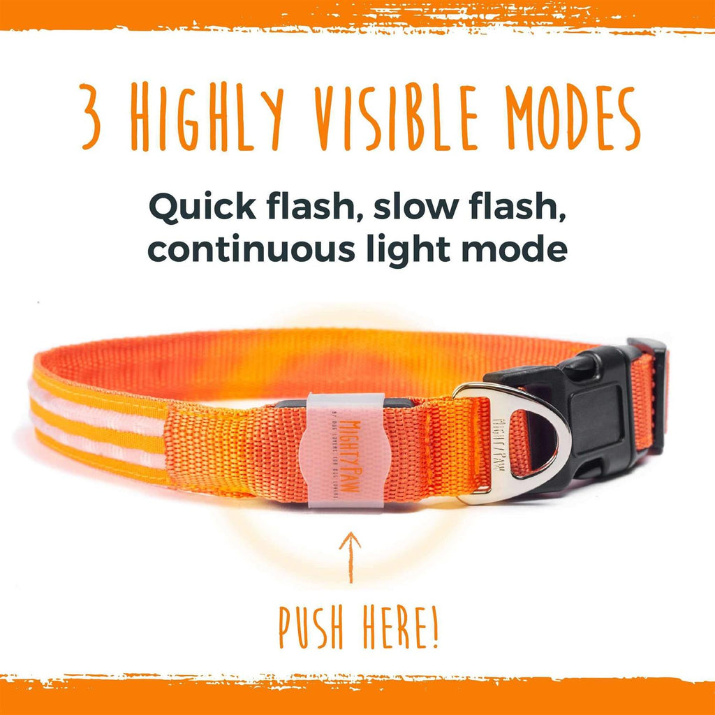 LED Dog Collar USB Rechargeable W94580