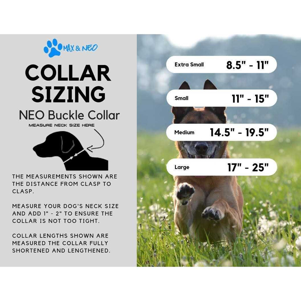 Reflective Nylon Dog Collar S37471