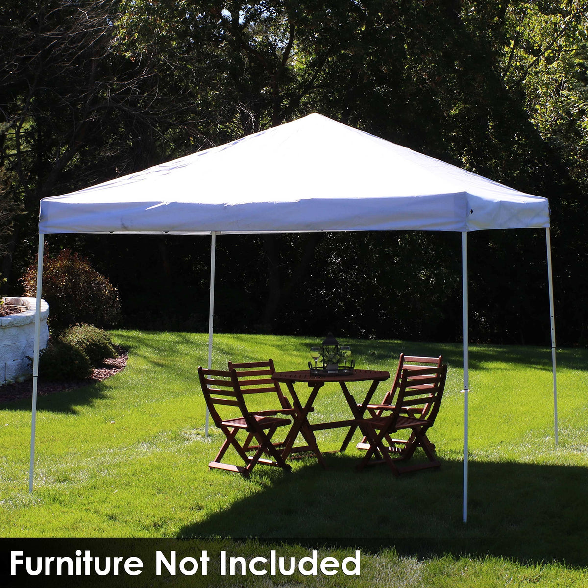 White 10 ft. x 10 ft. Steel Frame Canopy with Carrying Bag I800589
