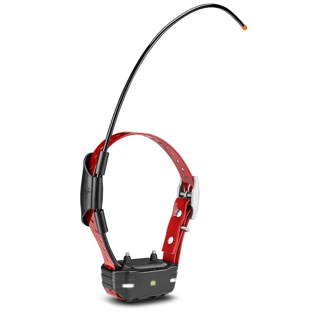 Dog Device C38196