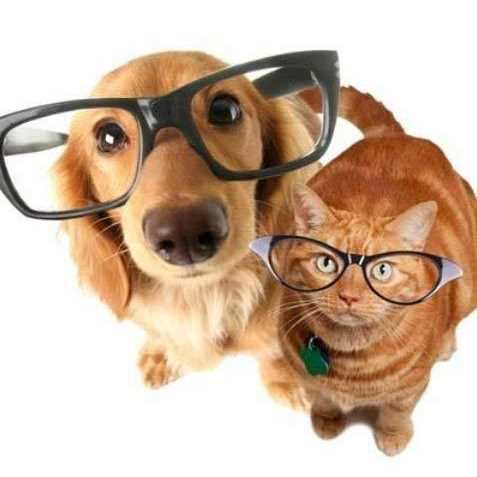 Eye Lube E19001