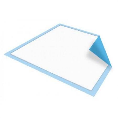 Absorbent Pads 4 Pack 100 Count Z12619