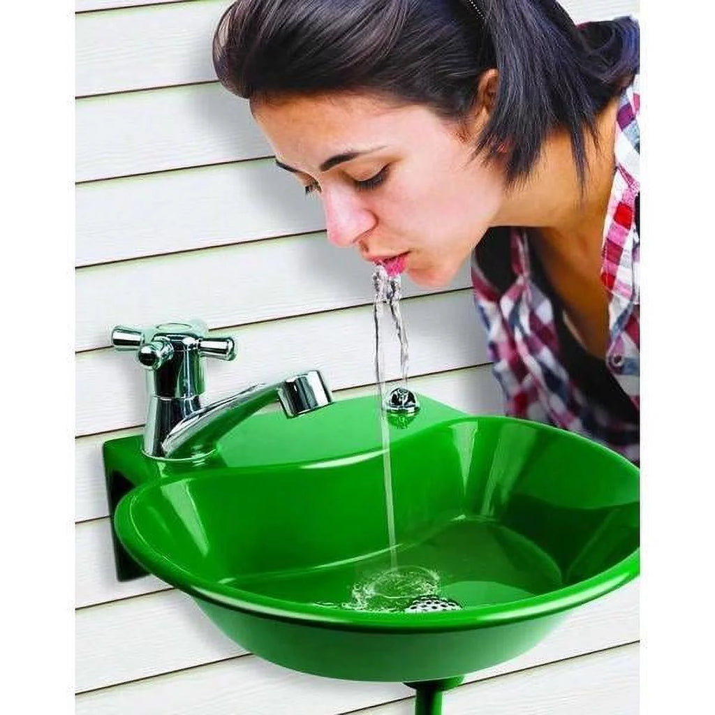 2 in 1 Water Fountain and Faucet D62169