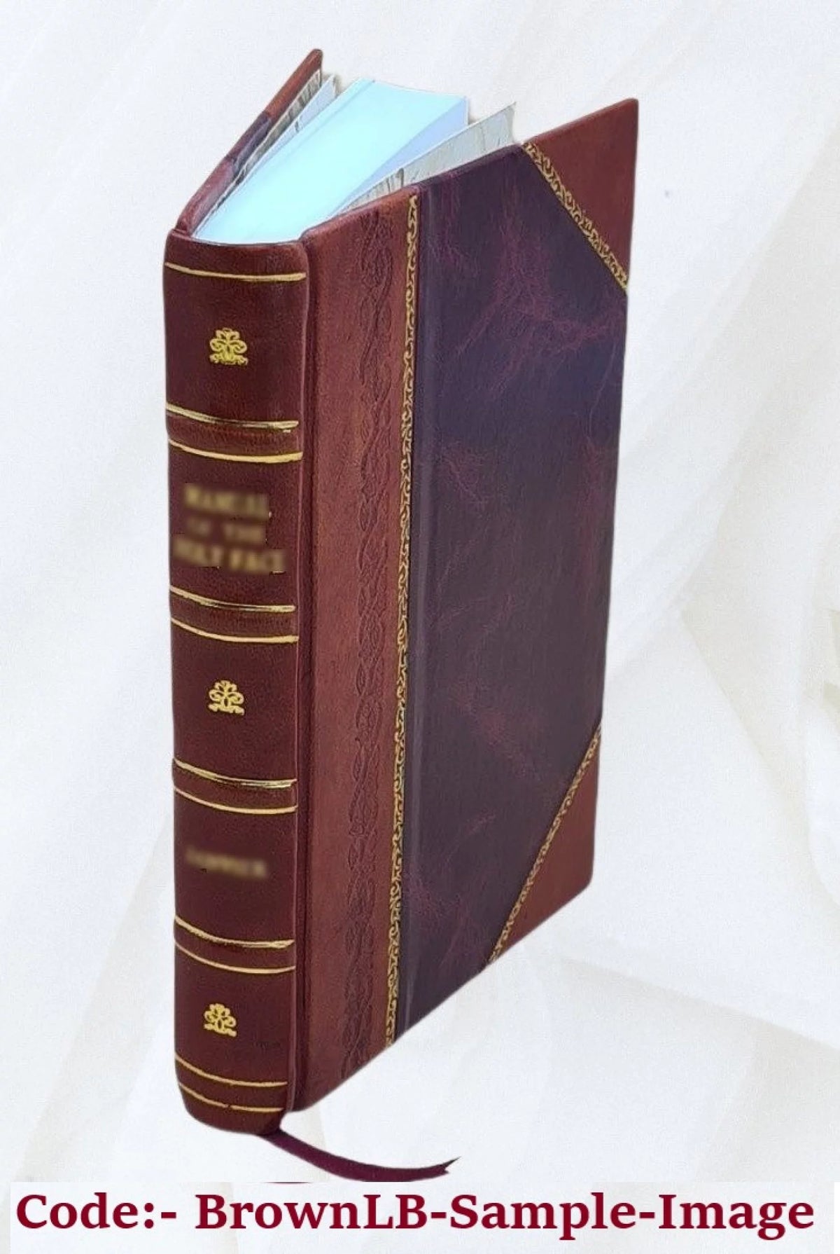 Lawyer's Reminiscences H576110