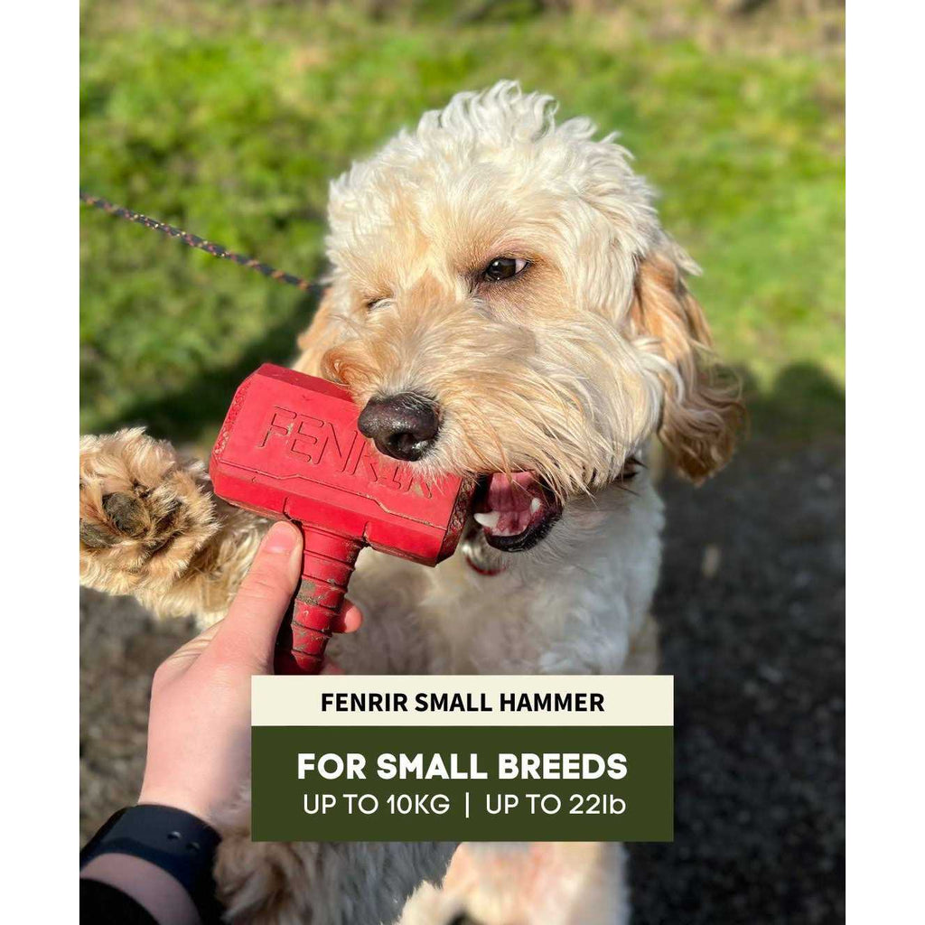 Hammer Chew Toy K1184