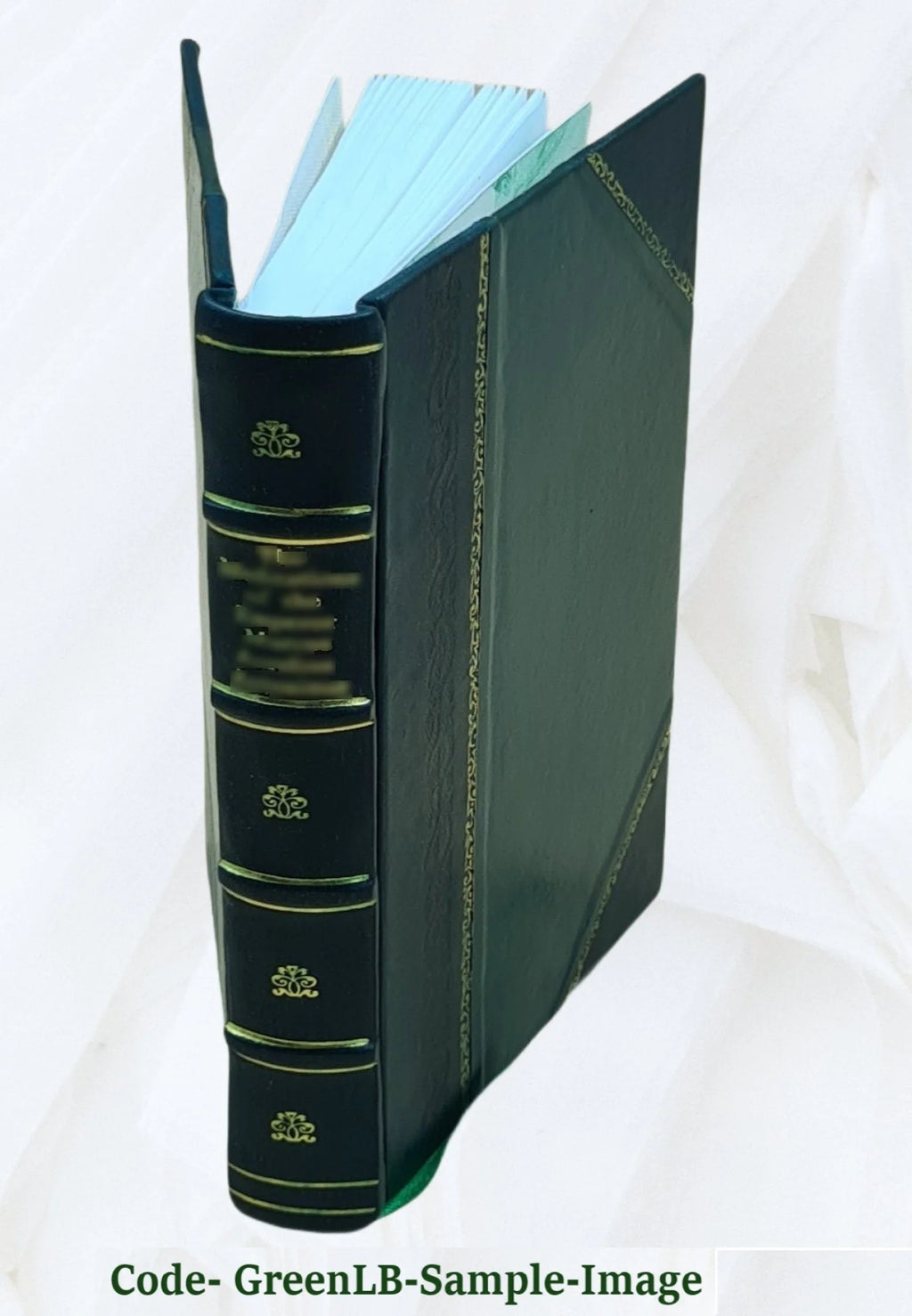 Leather Bound Mountaineering and exploration in the Japanese Alps 1896 Q8258