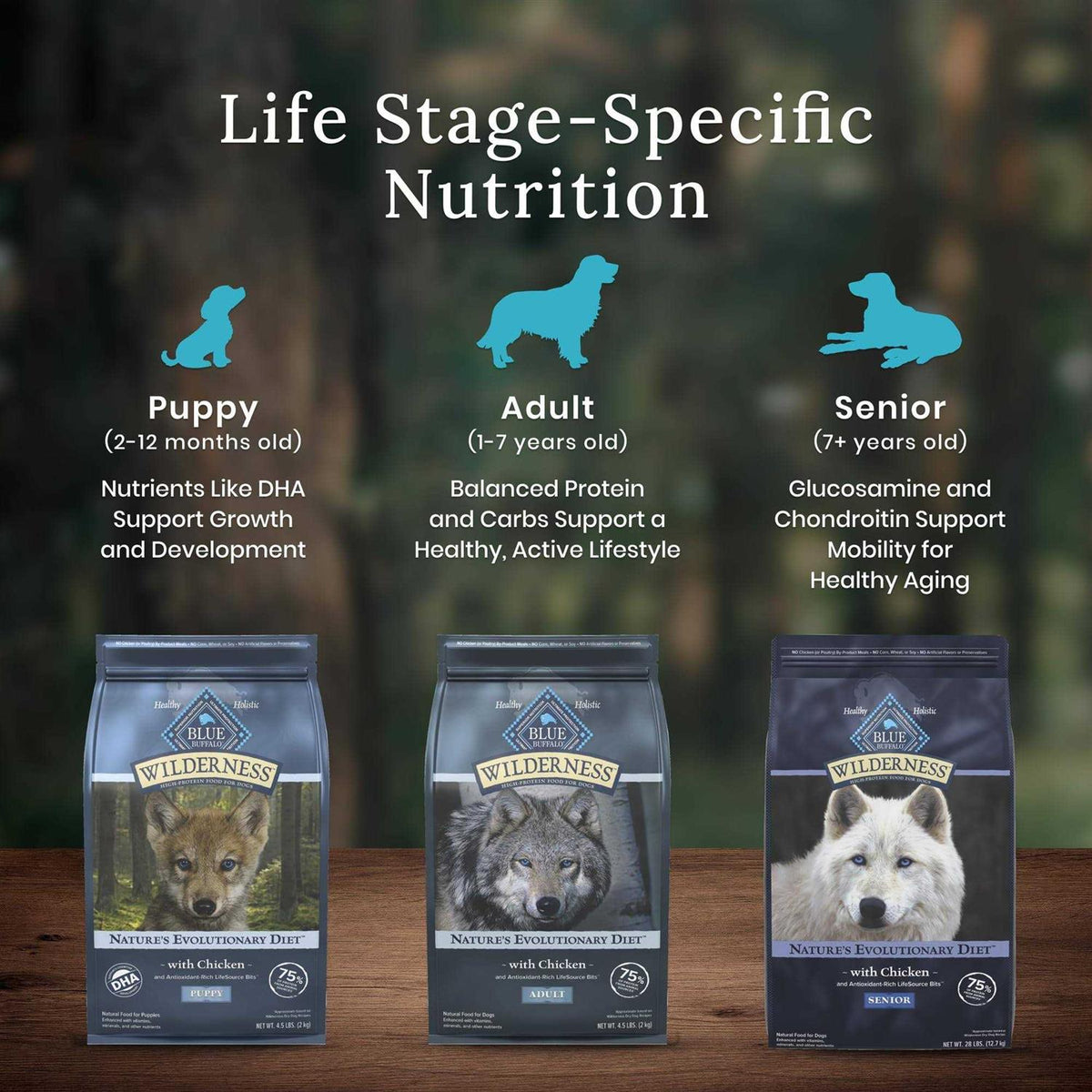 Chicken Senior Dry Dog Food V577