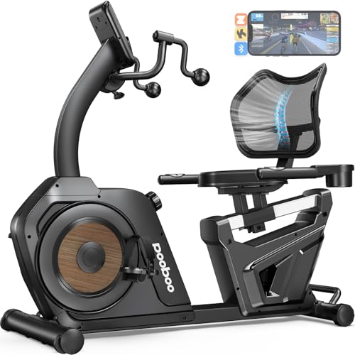 Recumbent Exercise Bike with Arm Exerciser X967208