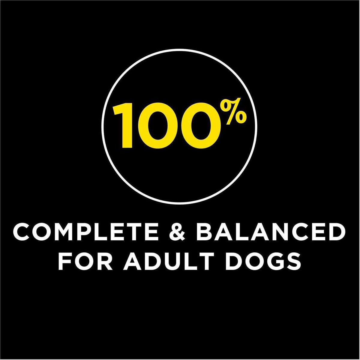 High Protein Dry Dog Food With Lamb & Beef Flavor Z636
