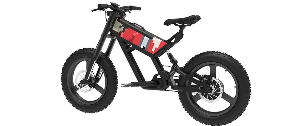 Fat Tire eBike S44271