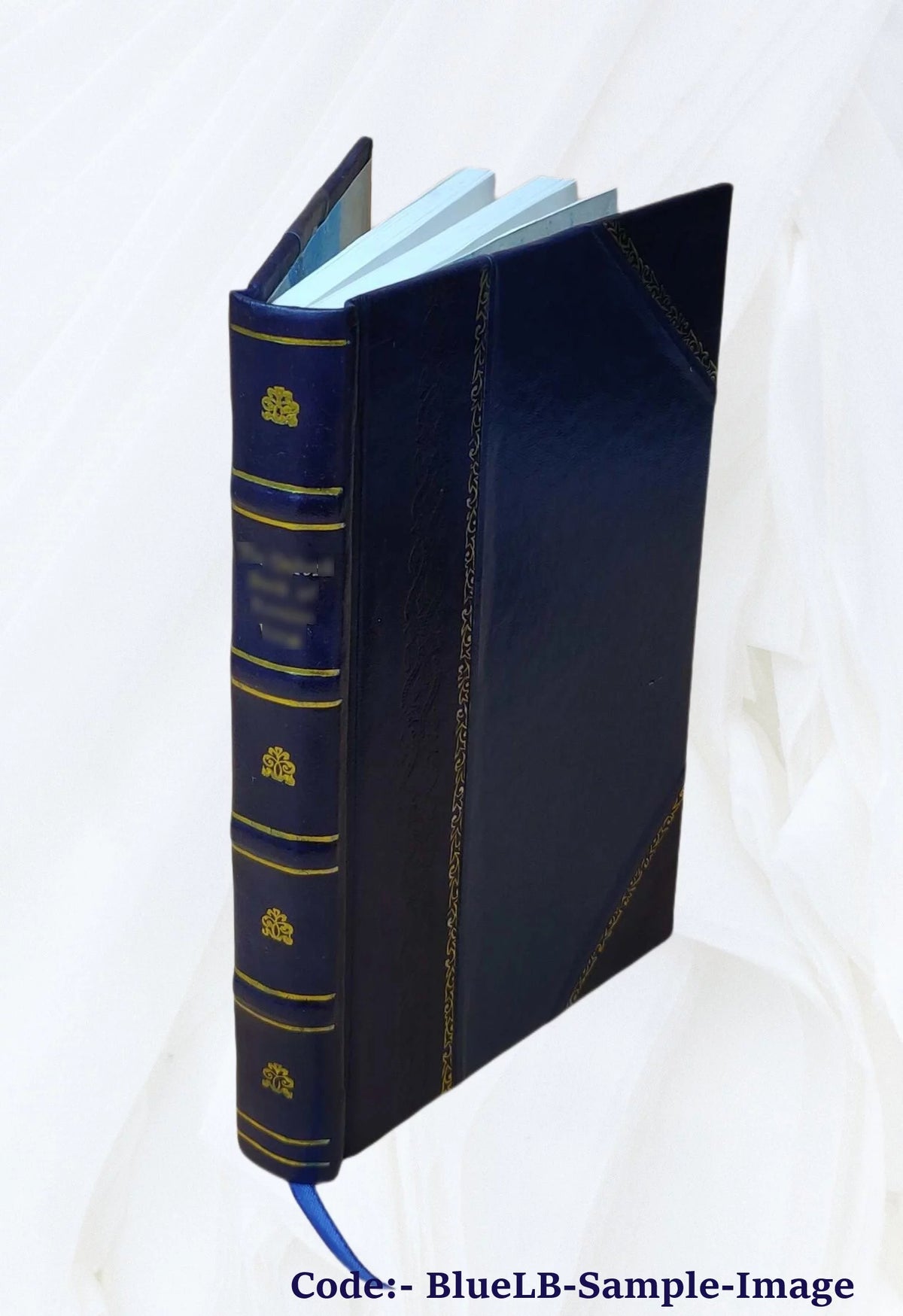 Lawyer's Reminiscences H576110