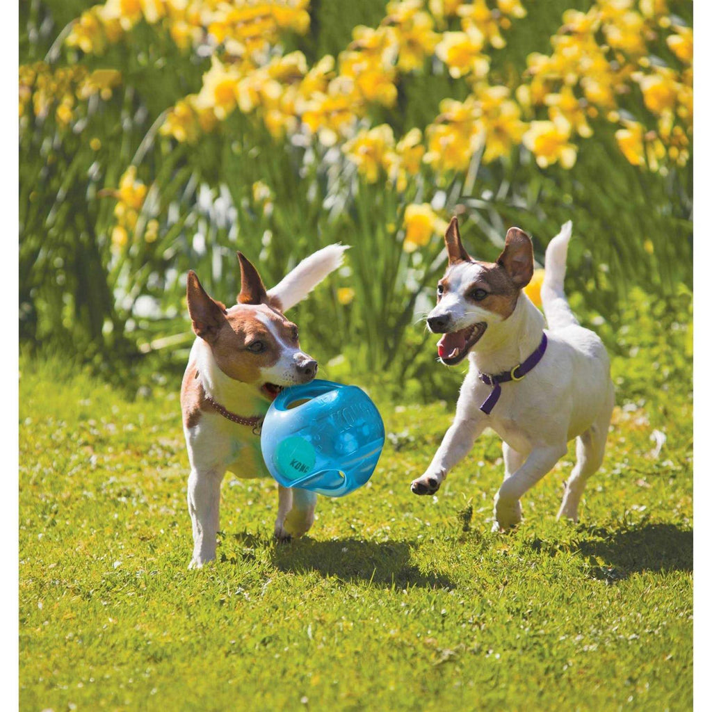 Jumbler Ball Dog Toy Y481