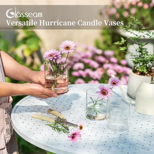 Set of 6 Clear Cylinder Candle Holders T884973