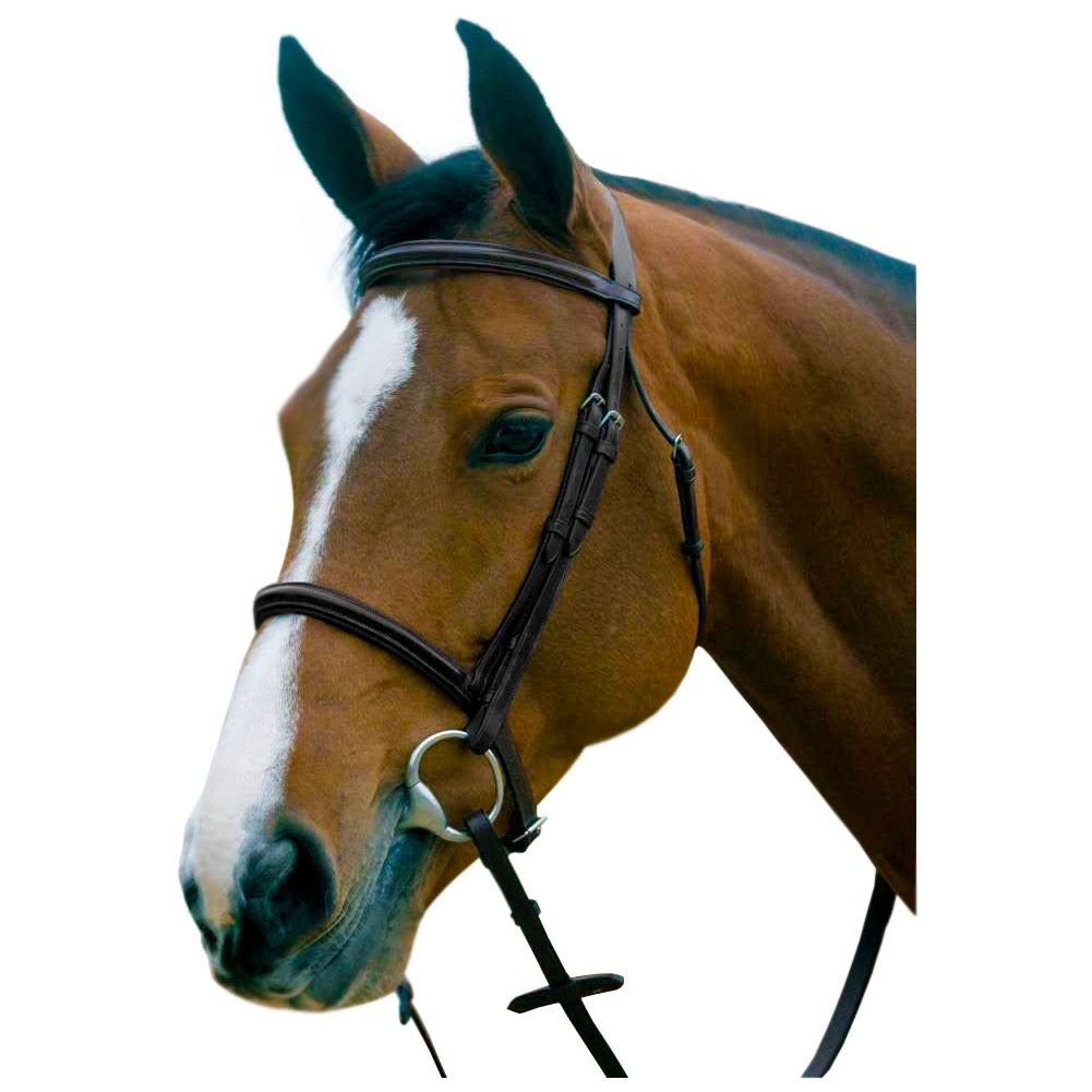 Black Snaffle Bridle W86724
