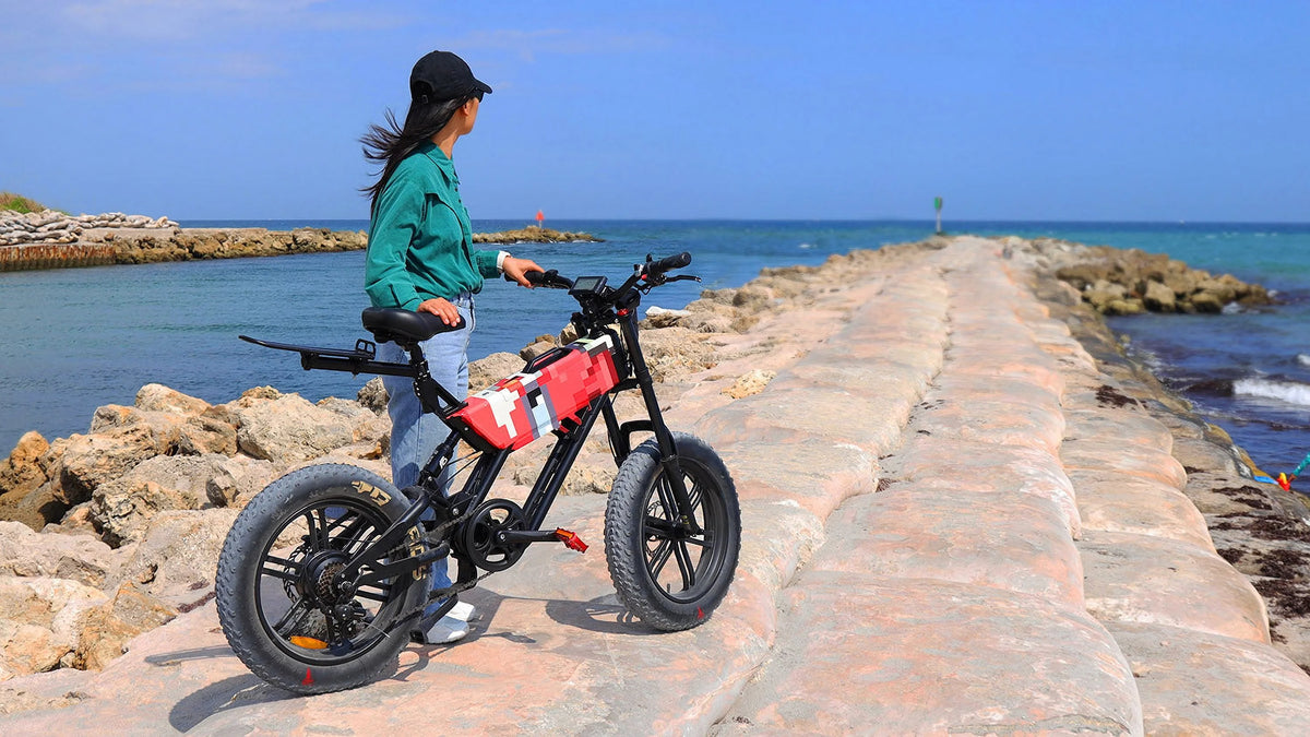 Fat Tire eBike S44271