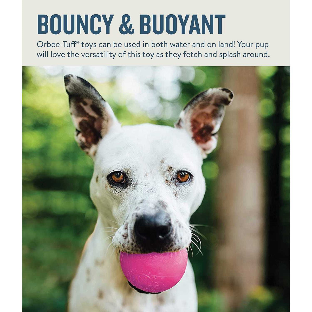 Squeak Toy Ball L1272