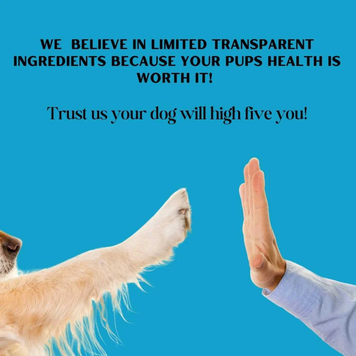 Beef Broth Dog Treat A999