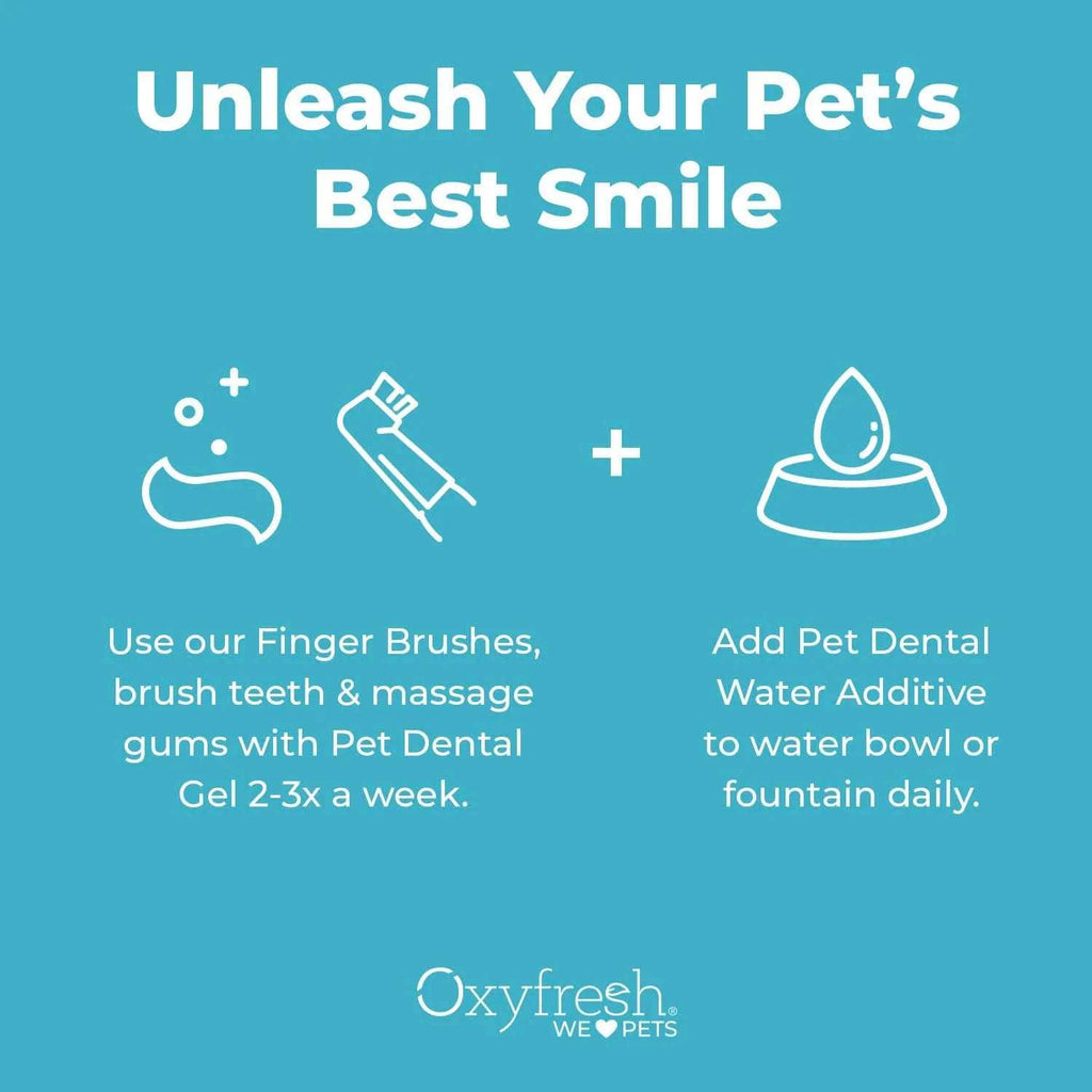 Pet Dental Kit A212