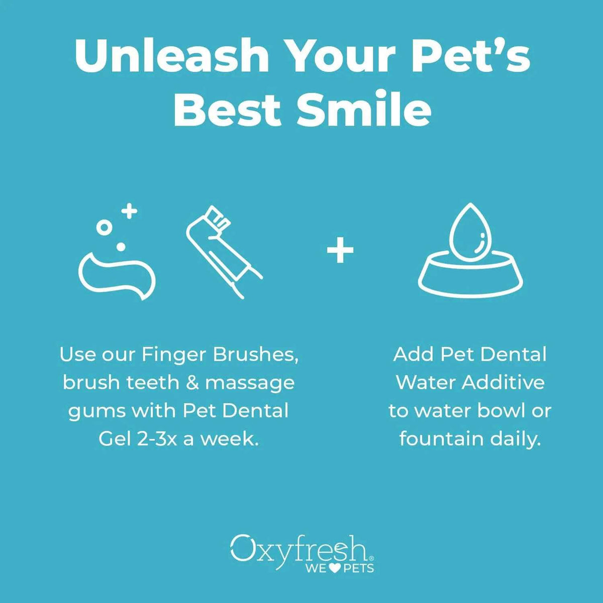 Pet Dental Kit A212