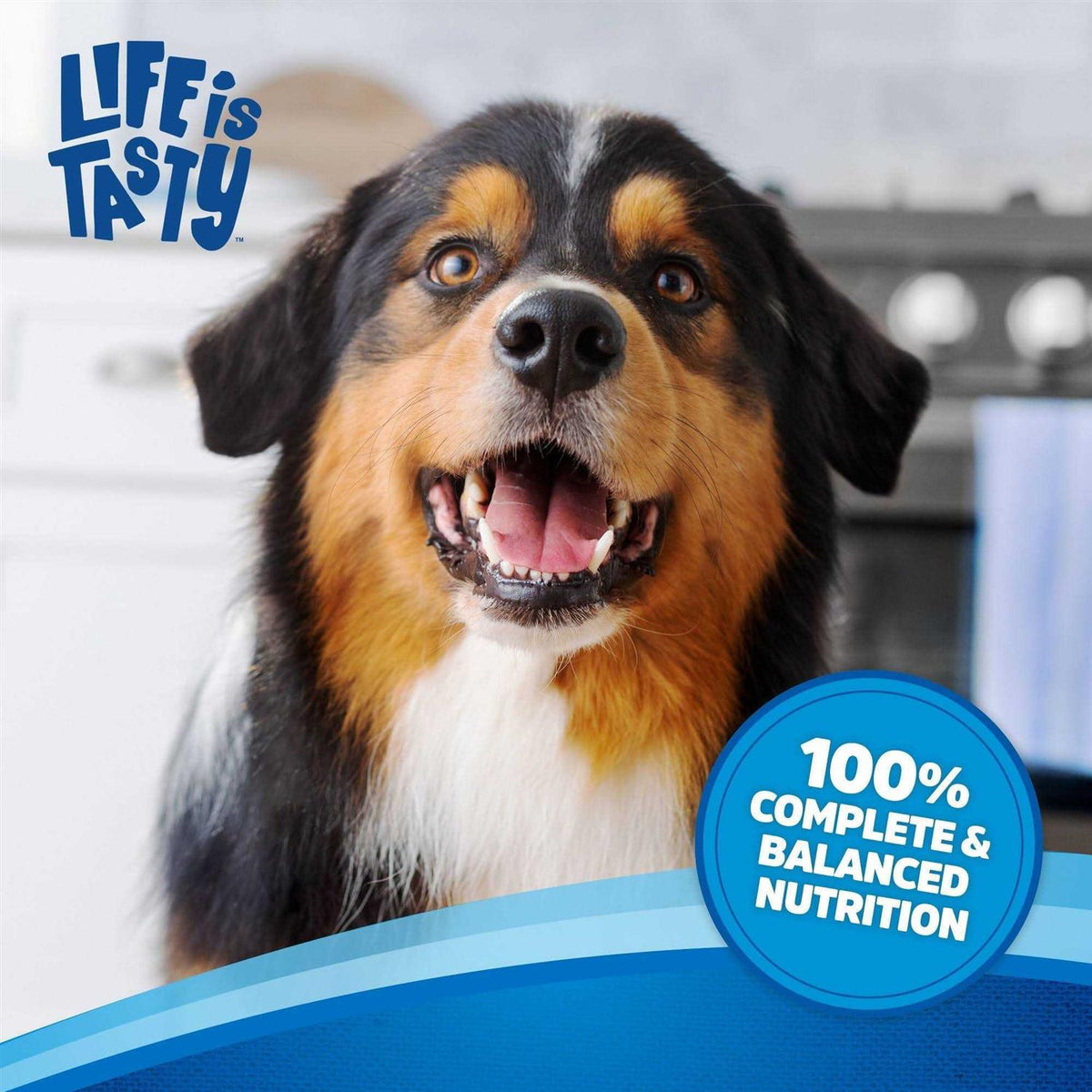 Beef Dog Food A6508