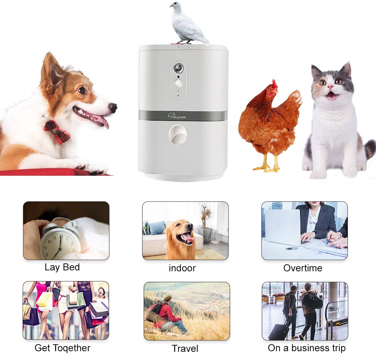 Dog Camera Treat Dispenser with Two-Way Audio and Night Vision S90189
