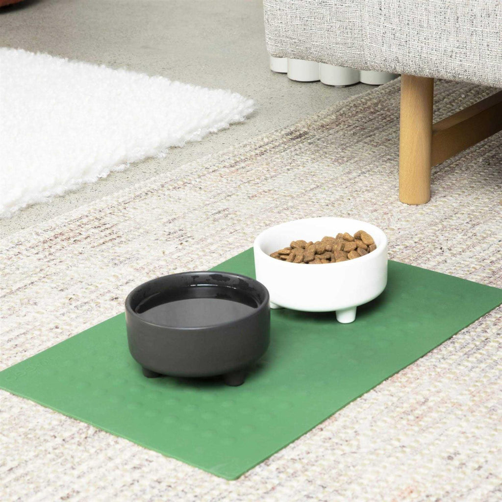 Dog Placemat P698