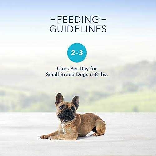 Small Breed Wet Dog Food Variety Pack F62363