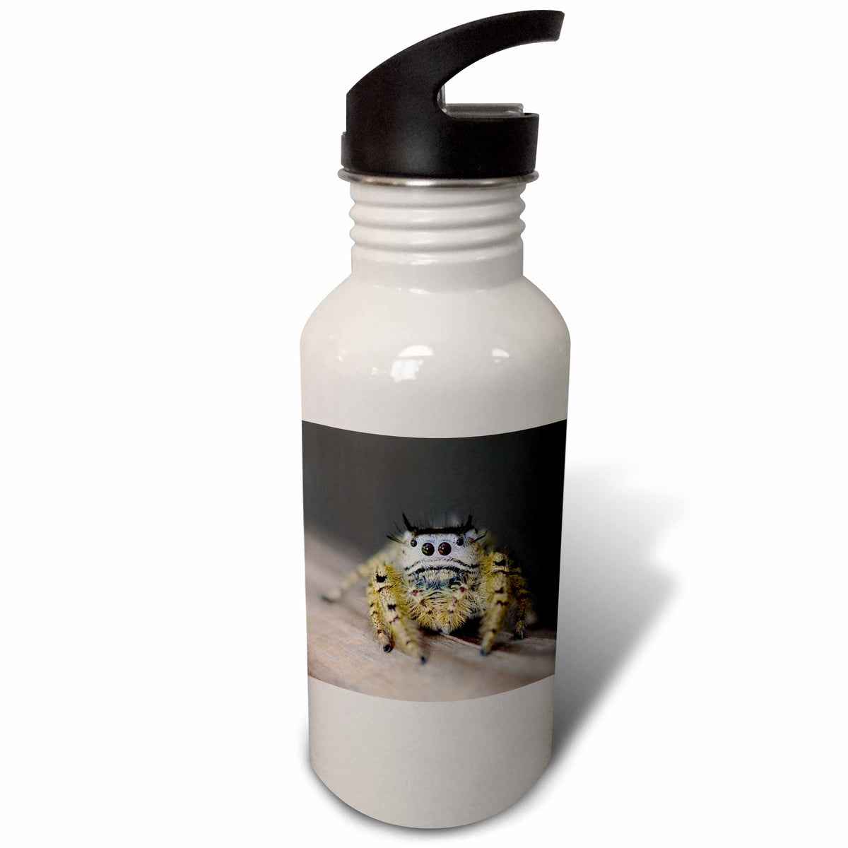 Sports Water Bottle U6152