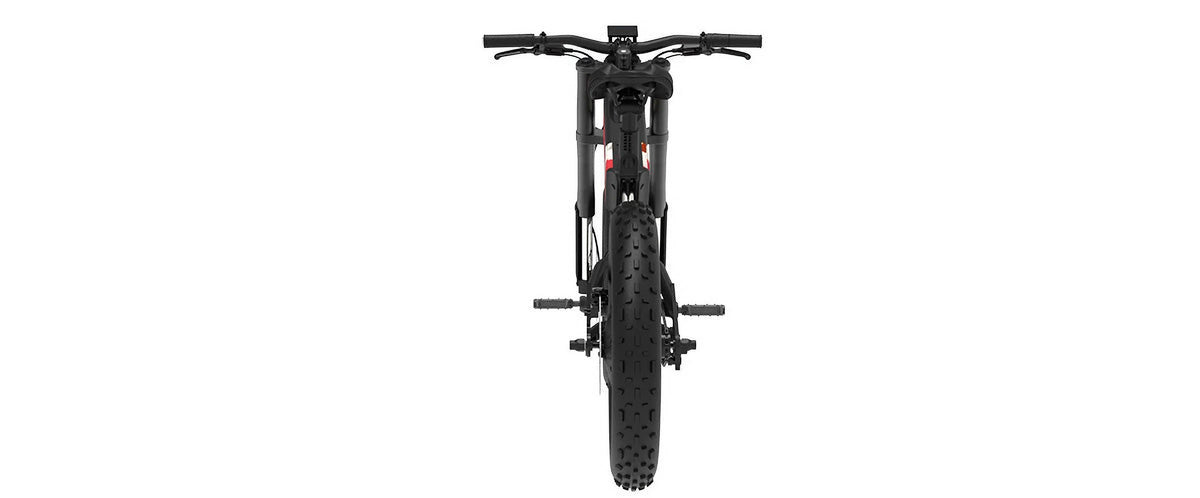 Fat Tire eBike S44271
