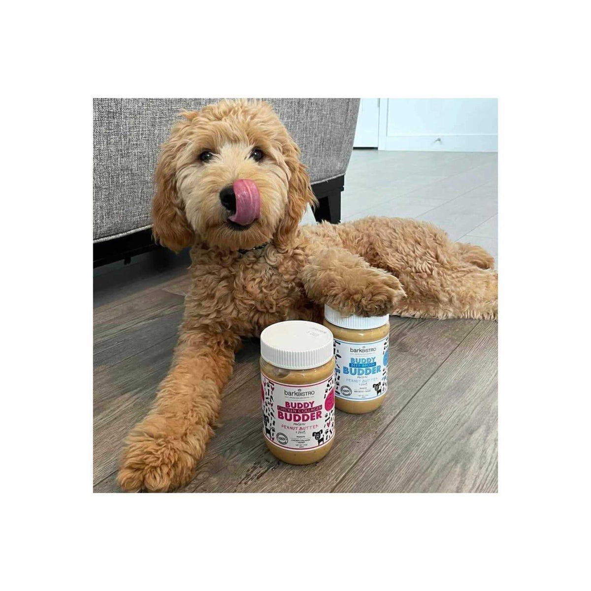 Beef Broth Dog Treat A999