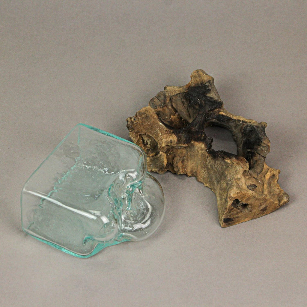 Rectangular Glass On Driftwood Decorative Bowl Q271742