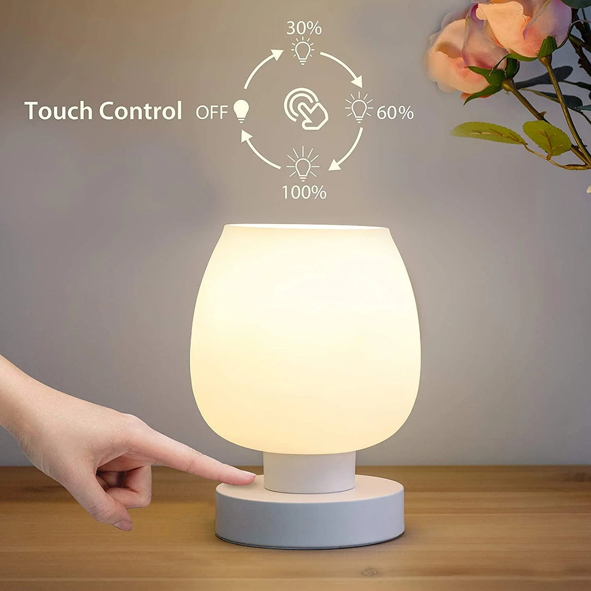 Touch Control Table Lamp with Glass Lamp Shade A916