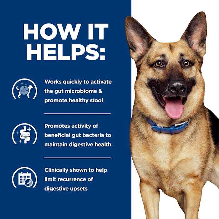 Gastrointestinal Biome Chicken & Vegetable Stew Wet Dog Food S6774