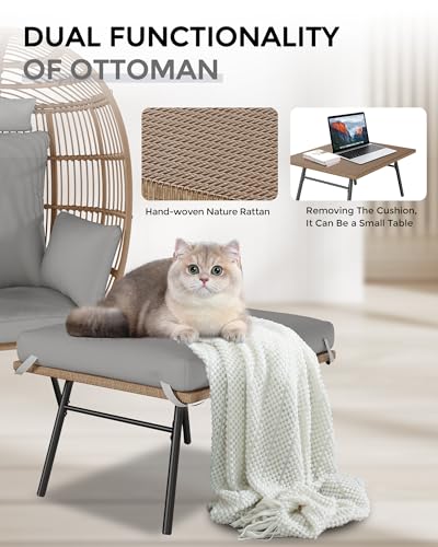 Oversized Rattan Egg Chair with Ottoman and Cushion R48227