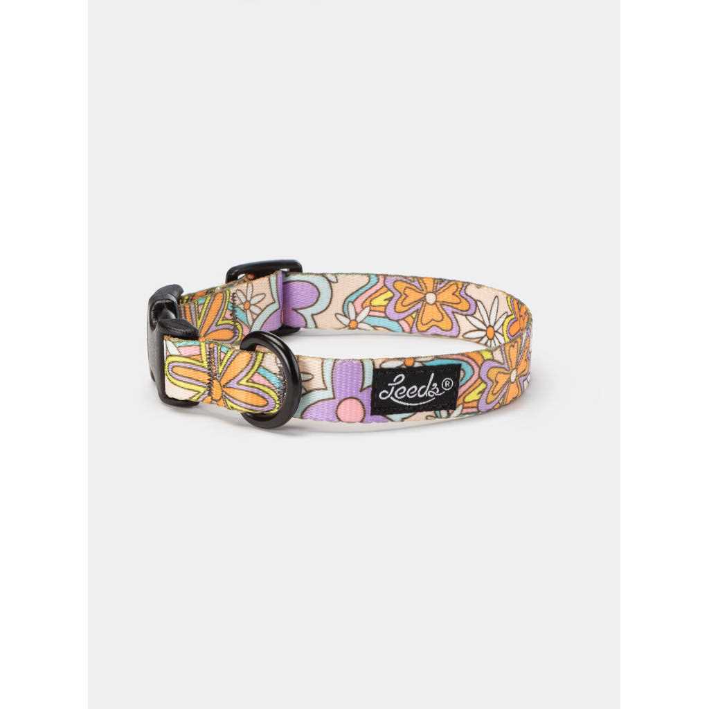 Dog Collar I155