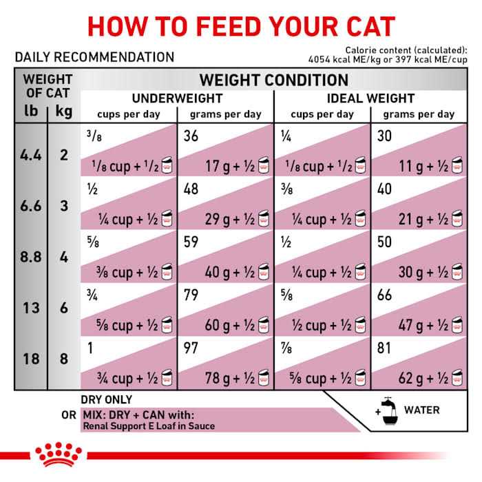 Dry Cat Food W5022