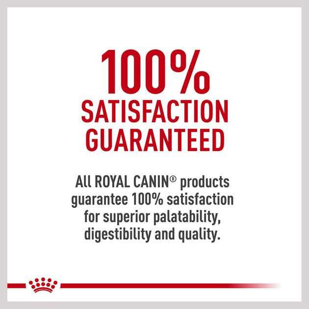 Adult Breed Specific Wet Dog Food K73027