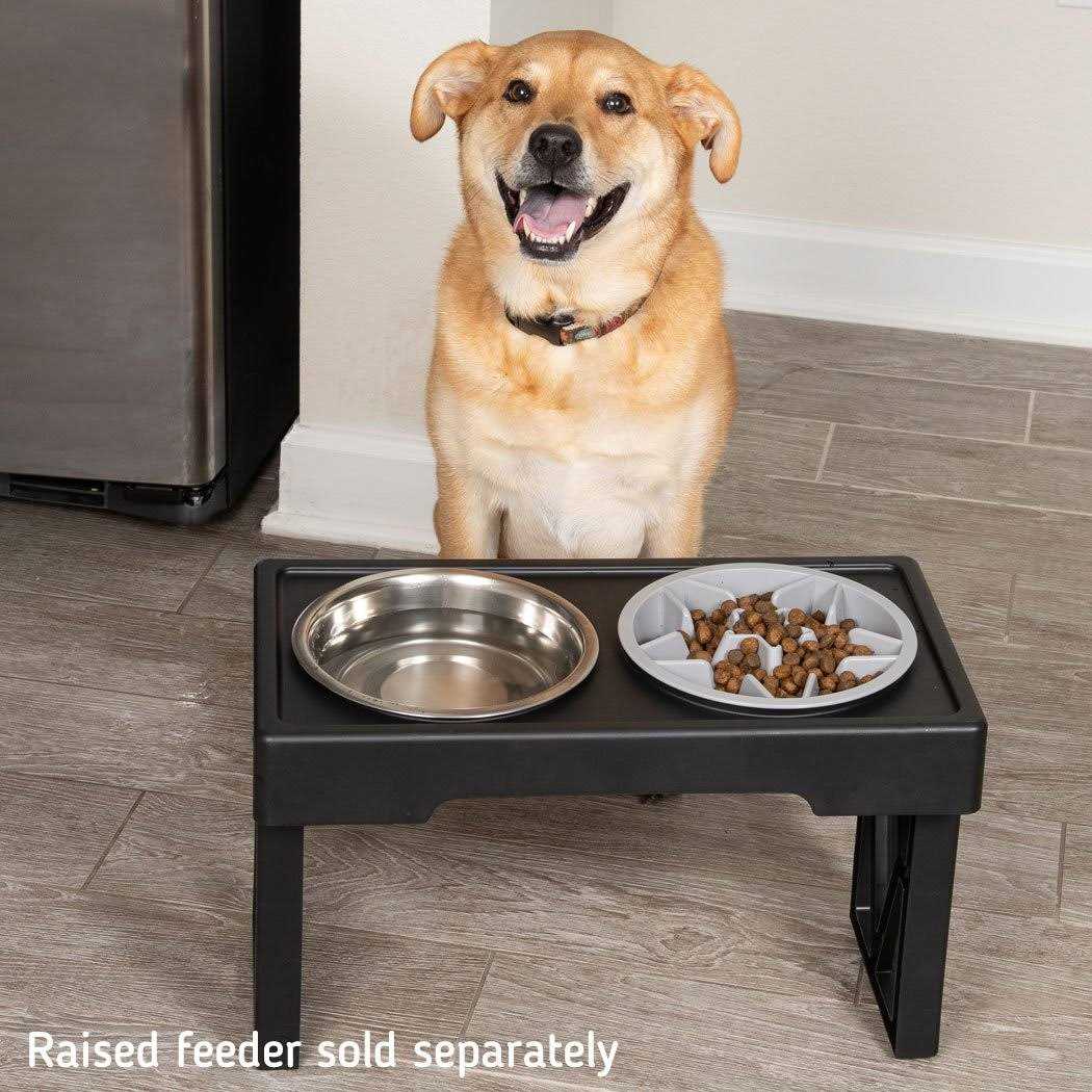 Slow Feeder Dog Bowl with Feeder Holes T803