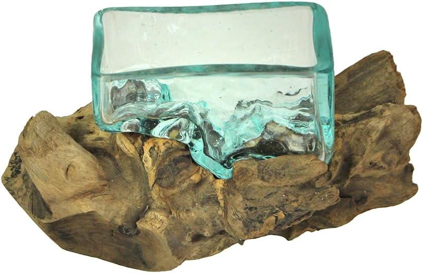 Rectangular Glass On Driftwood Decorative Bowl Q271742