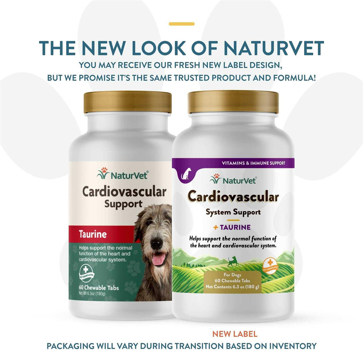 Cardiovascular Support for Dogs X2229
