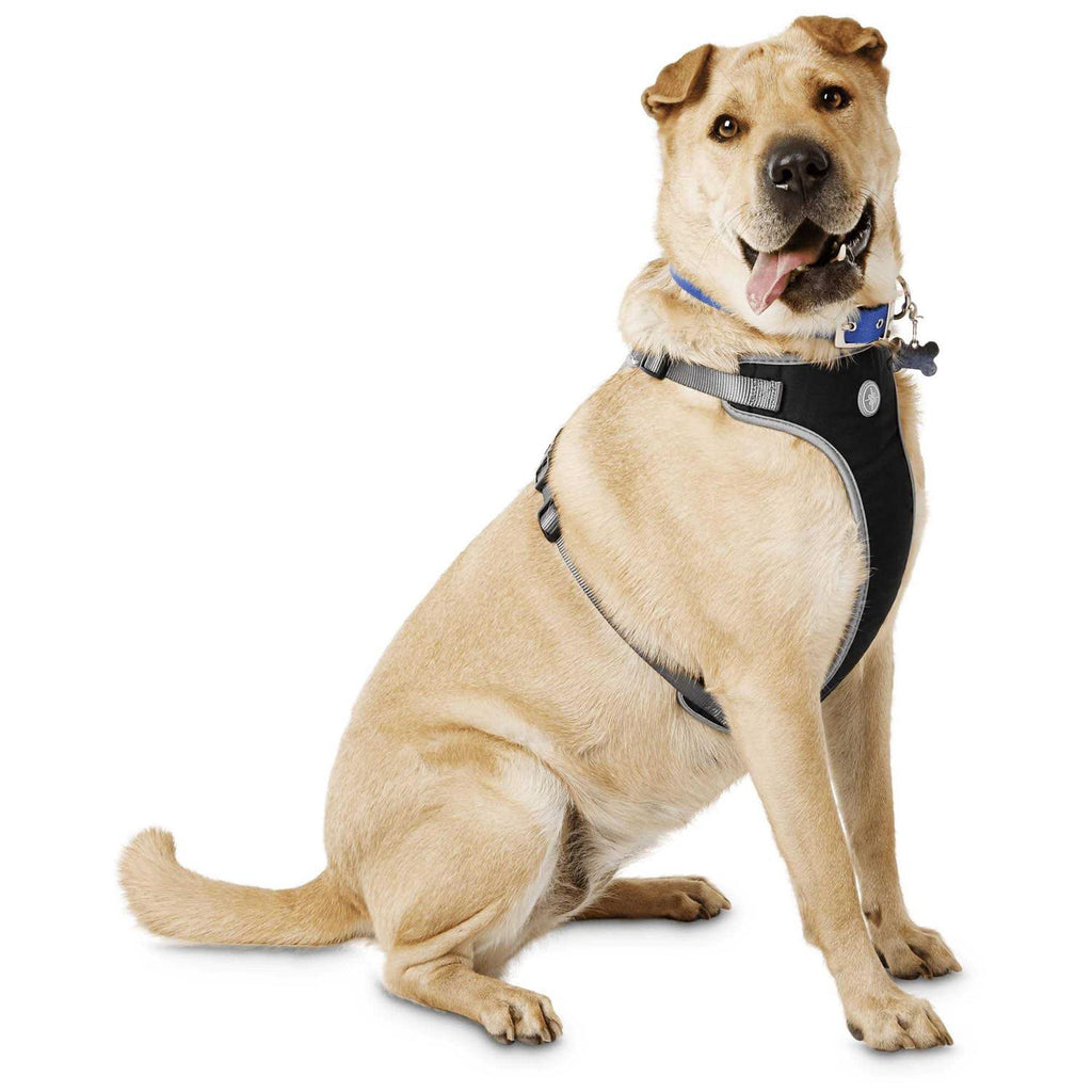 Black Dog Harness R374