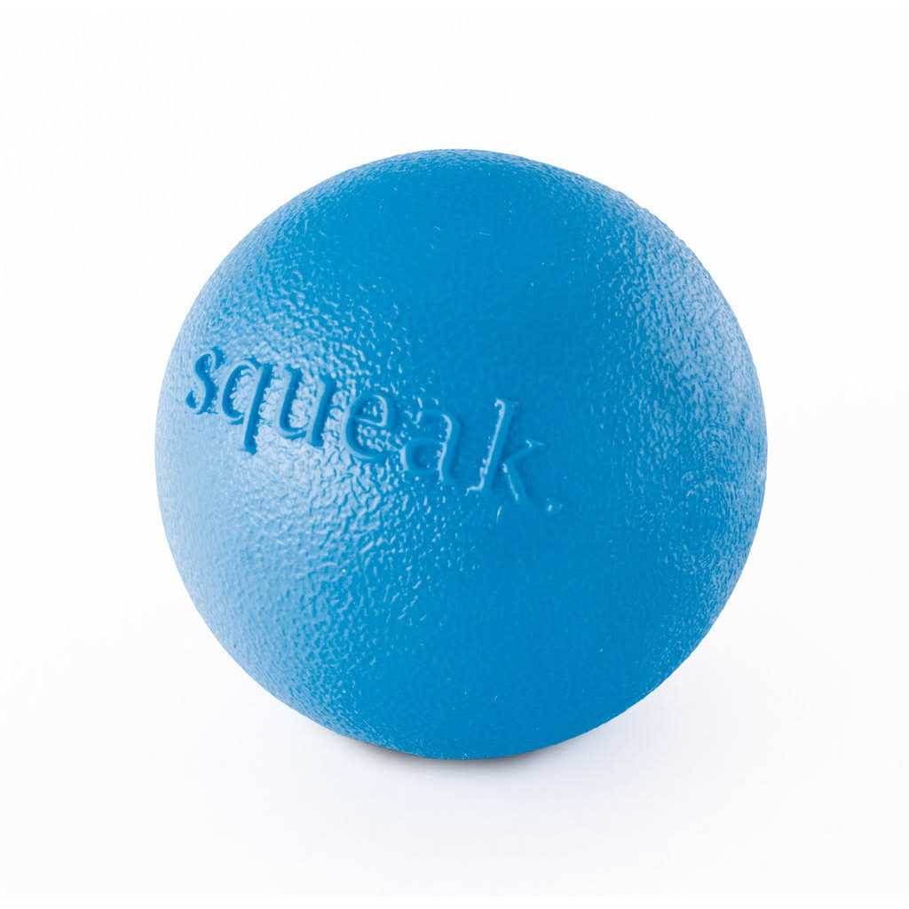 Squeak Toy Ball L1272