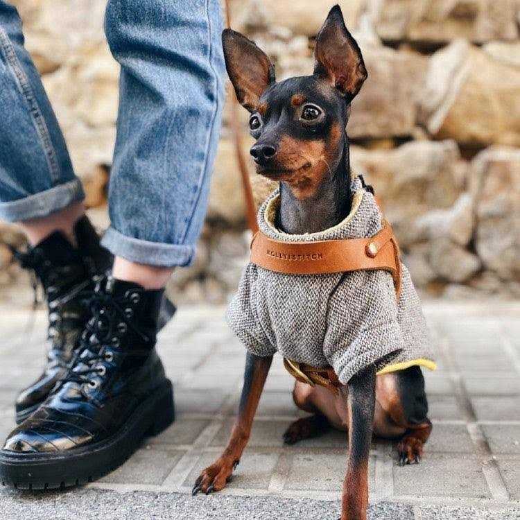 Leather Dog Harness Y6799