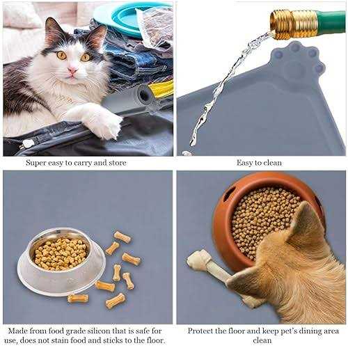 Silicone Pet Feeding Mat with Raised Edges R883