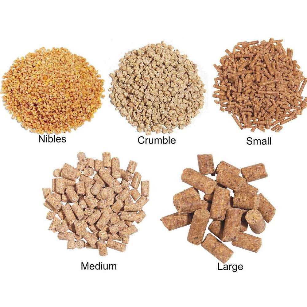 Daily Maintenance Pet Supplies Z206748