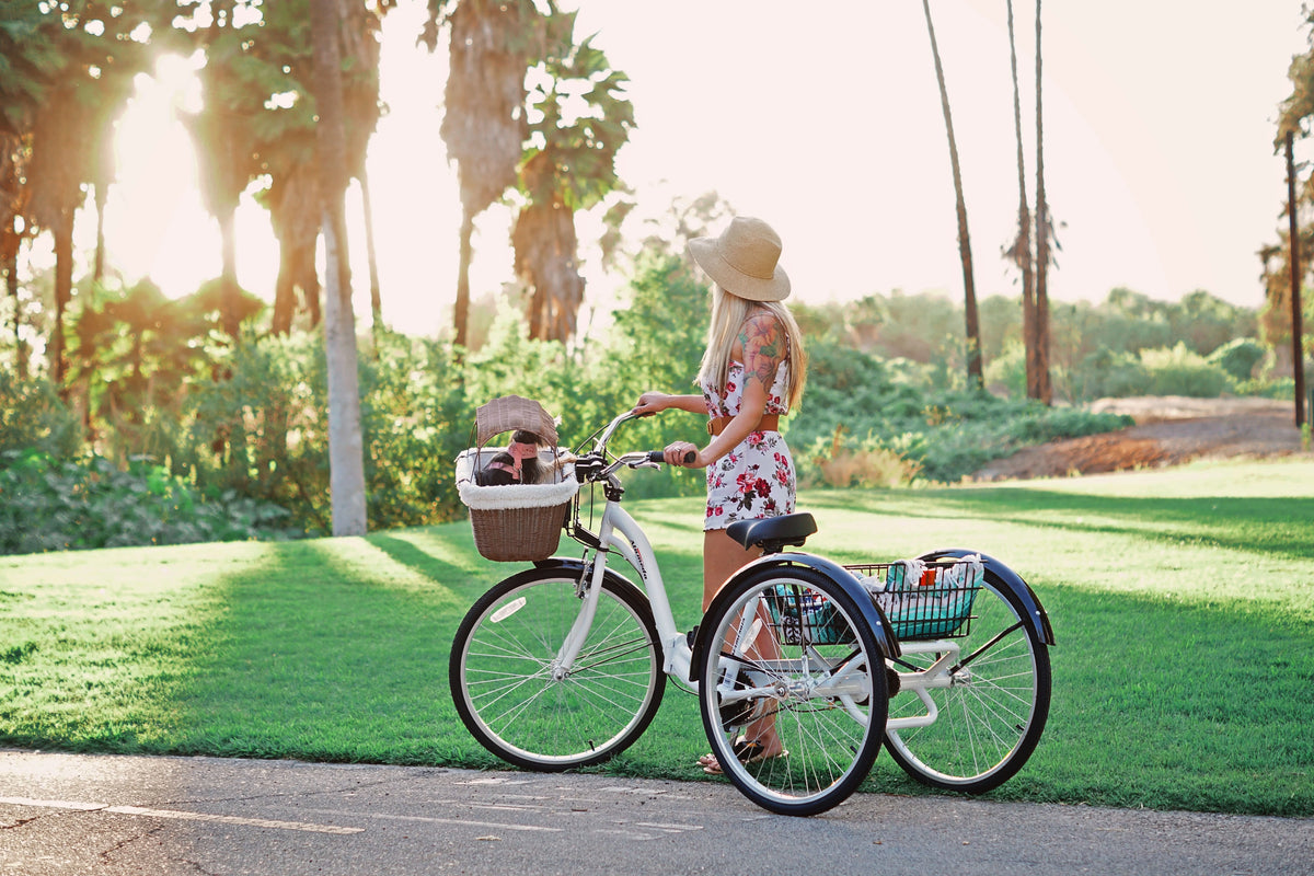 Blue Folding Adult Trike R38765