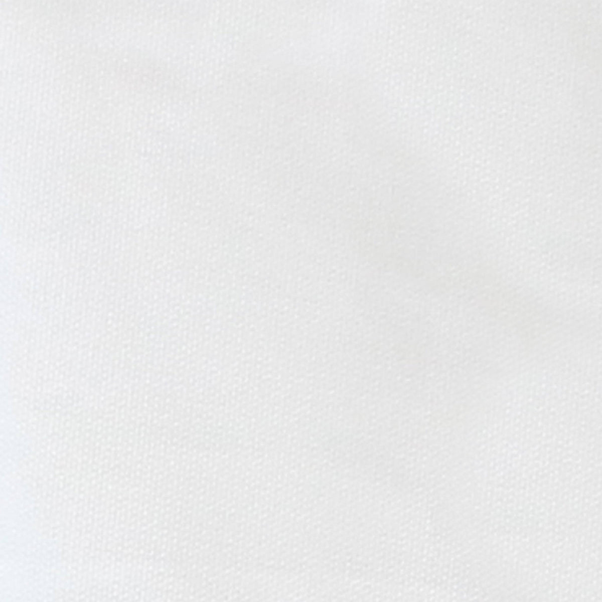 White 10 ft. x 10 ft. Steel Frame Canopy with Carrying Bag I800589