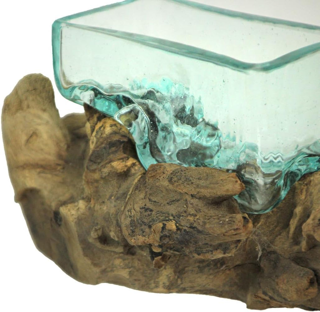 Rectangular Glass On Driftwood Decorative Bowl Q271742